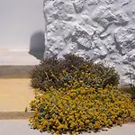 Oskelos Kastraki (Naxos)