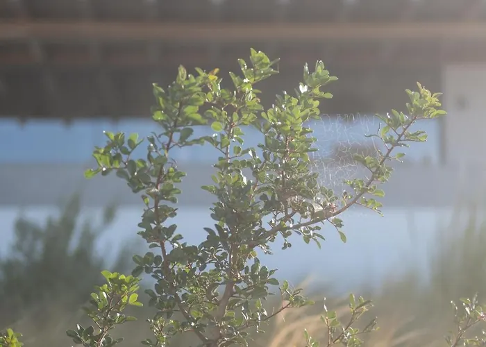 Oskelos Villa Kastrákion